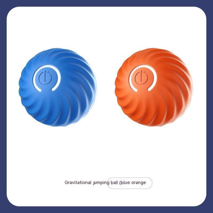 Dog Ball Toy