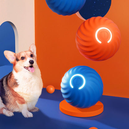 Dog Ball Toy