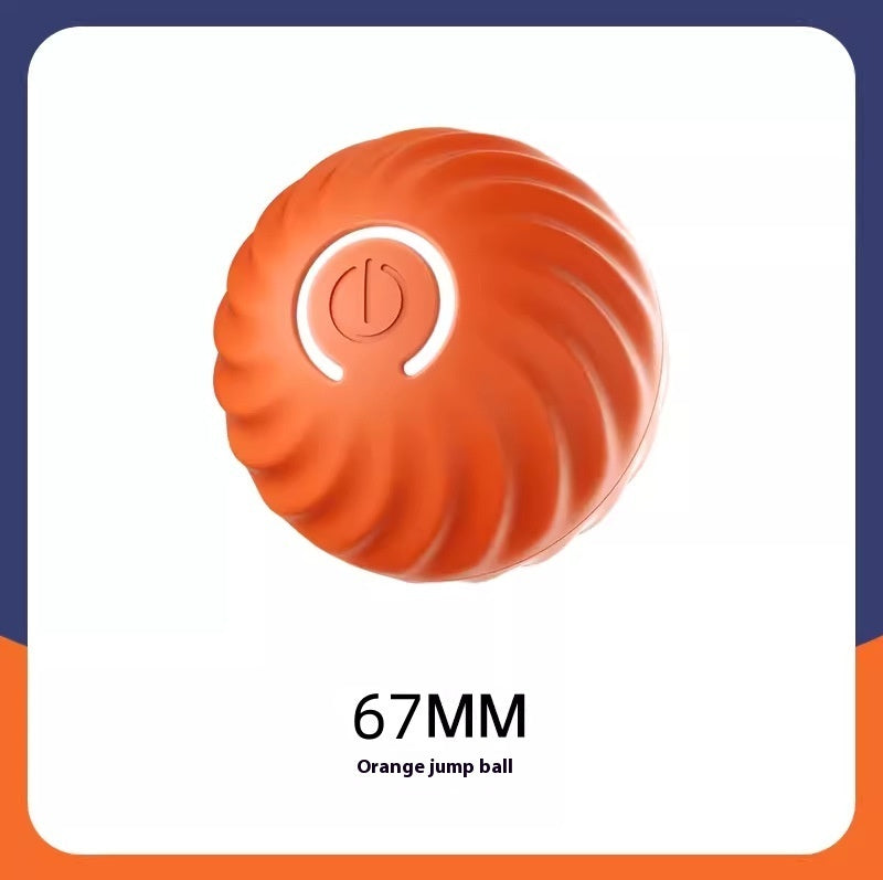 Dog Ball Toy