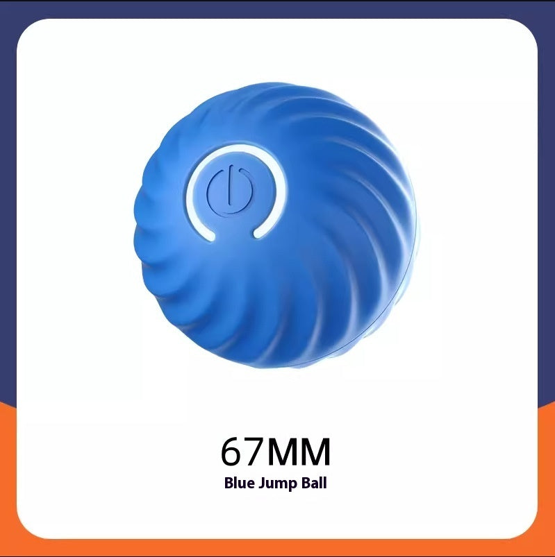 Dog Ball Toy
